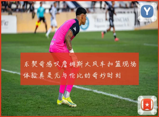 东契奇感叹詹姆斯大风车扣篮现场体验真是无与伦比的奇妙时刻