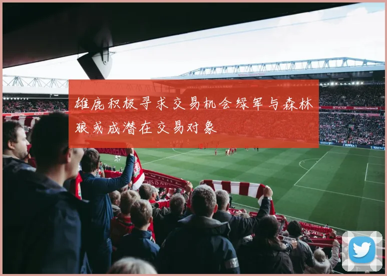 雄鹿积极寻求交易机会绿军与森林狼或成潜在交易对象